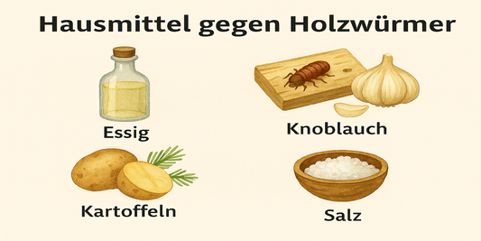 Hausmittel gegen Holzwürmer