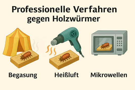 Professionelle Verfahren (Begasung, Heißluft, Mikrowellen)