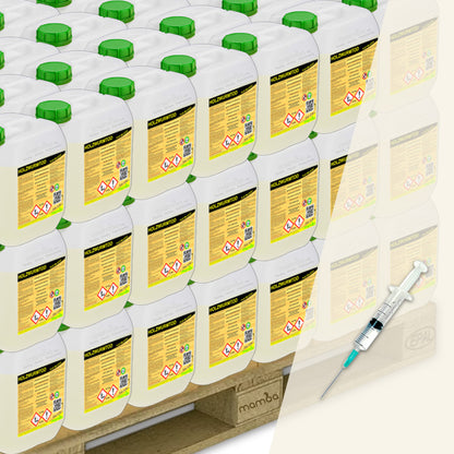 Mamba Holzwurmtod (HWT)